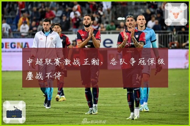 中超联赛激战正酣，各队争冠保级鏖战不停